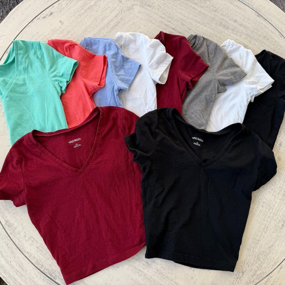 Bundle Wild Fable Croped V neck tshirts